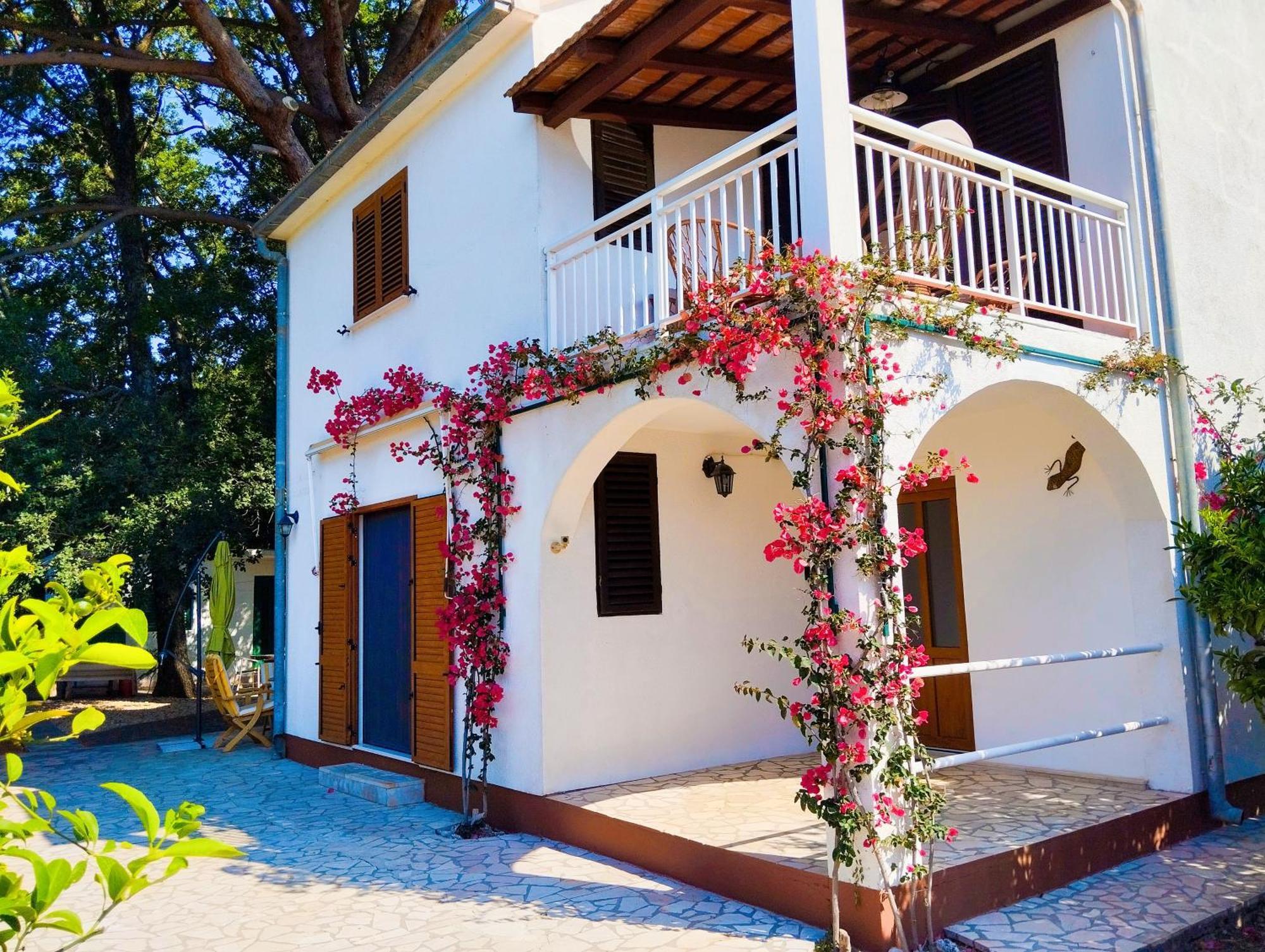 Holiday House Pinus Pinea Viganj Exterior foto